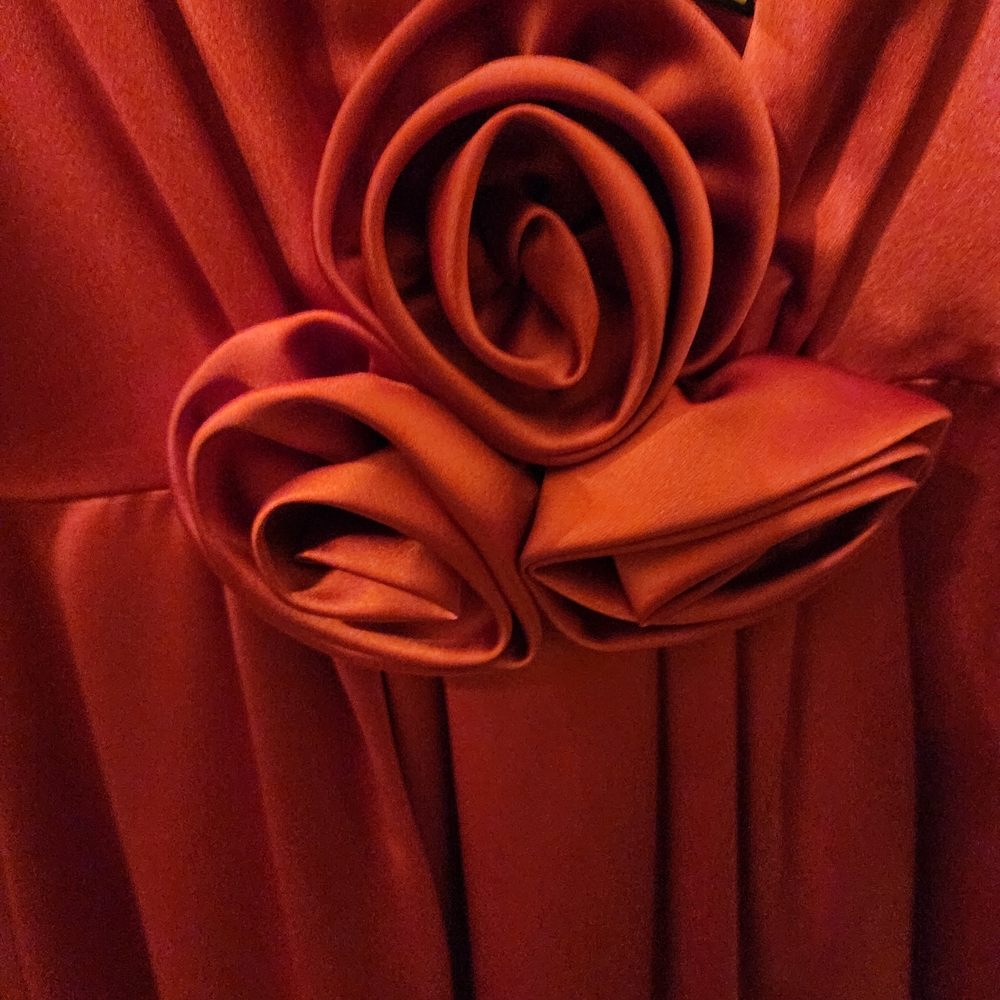 Gianni Bini Vibrant Red Satin Dress - Picture 3 of 4